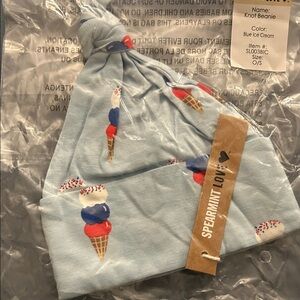 Spearmint LOVE Ice Cream Knot Beanie - Blue
